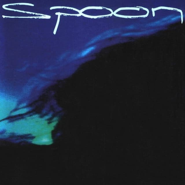 Spoon cover