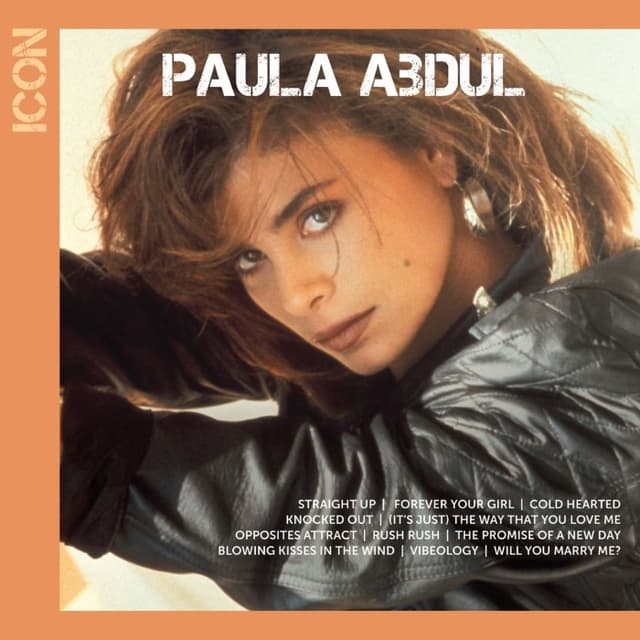 Icon cover