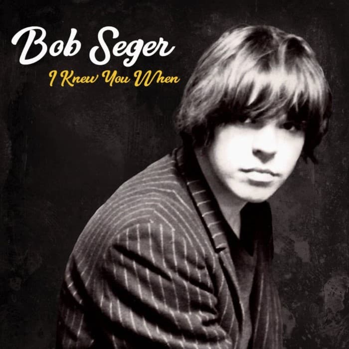 I Knew You When cover