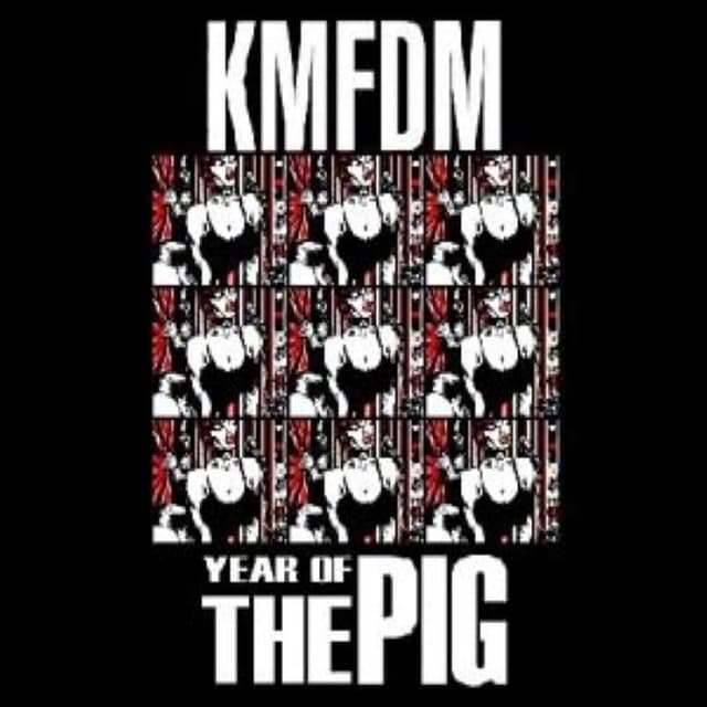 Year of the Pig cover