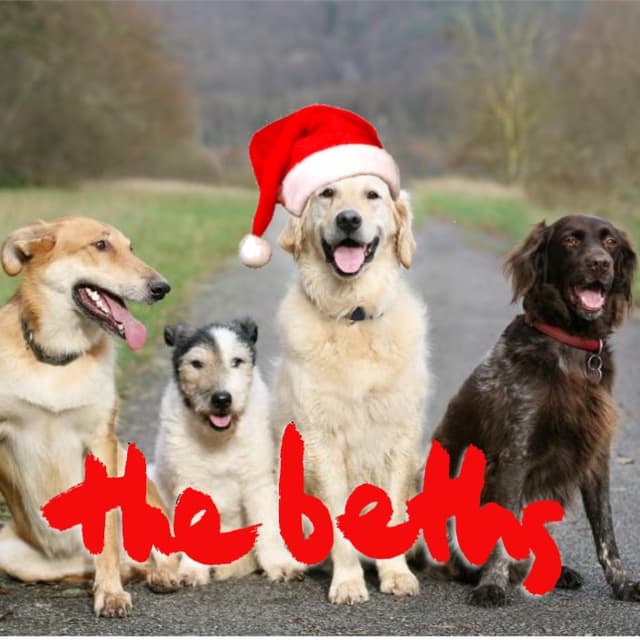 Have Yourself a Merry Little Christmas (live at Leigh Sawmill) cover
