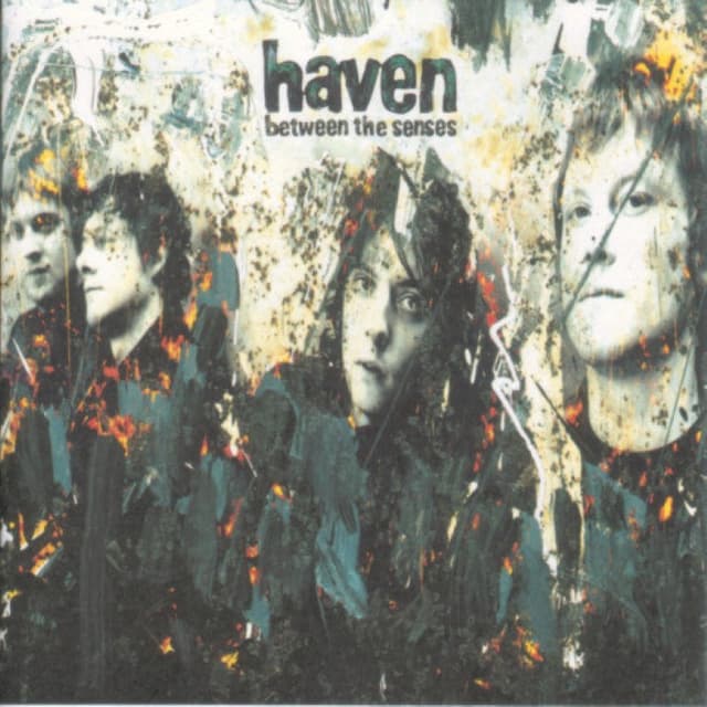 Between the Senses cover