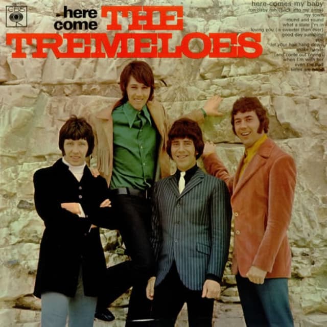 Here Come the Tremeloes cover