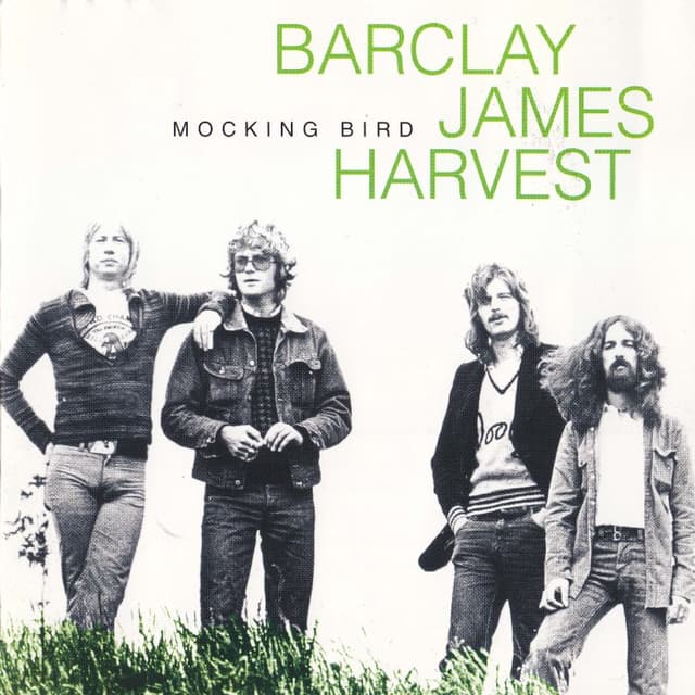 Mocking Bird cover