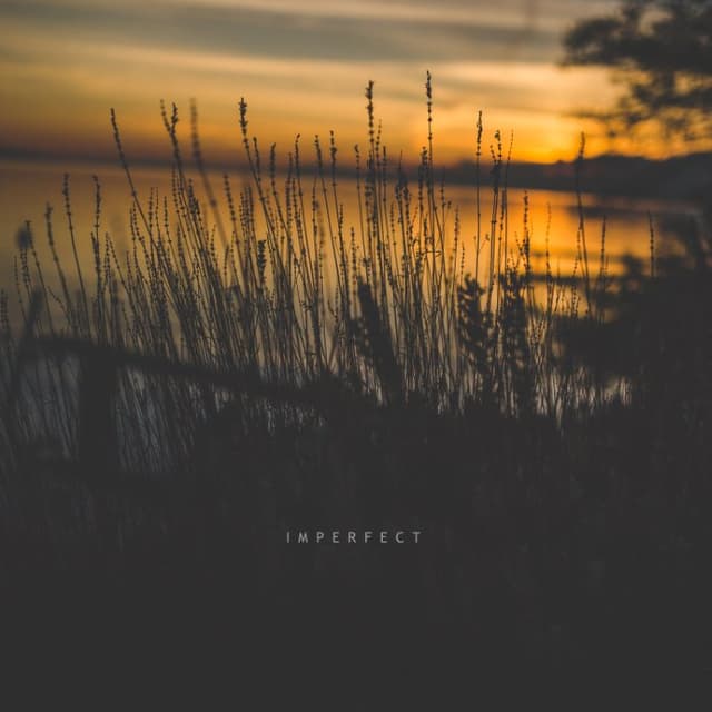 Imperfect cover