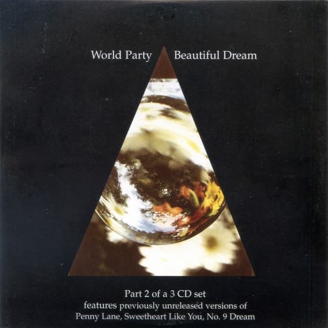 Beautiful Dream cover
