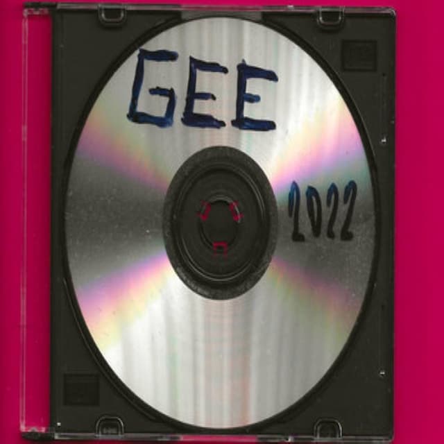 GEE cover