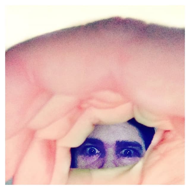 Odditties Sodomies Vol. 2 cover