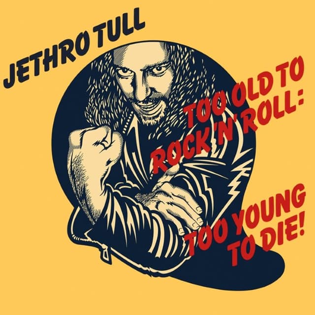 Too Old to Rock 'n' Roll: Too Young to Die! cover