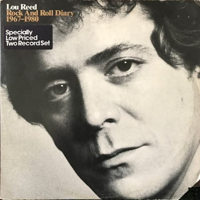 Rock and Roll Diary 1967–1980 cover