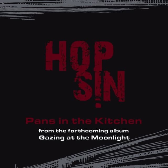 Pans in the Kitchen cover