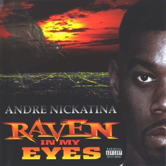 Raven in My Eyes cover