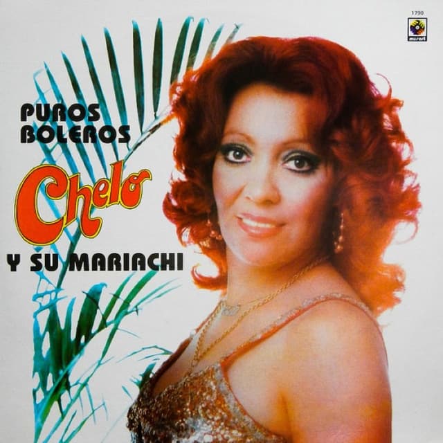 Puros boleros cover