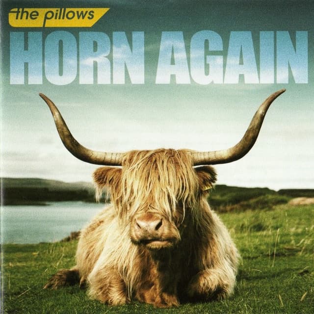 HORN AGAIN cover