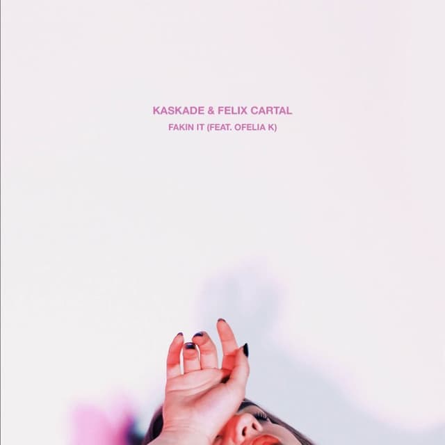 Fakin It cover