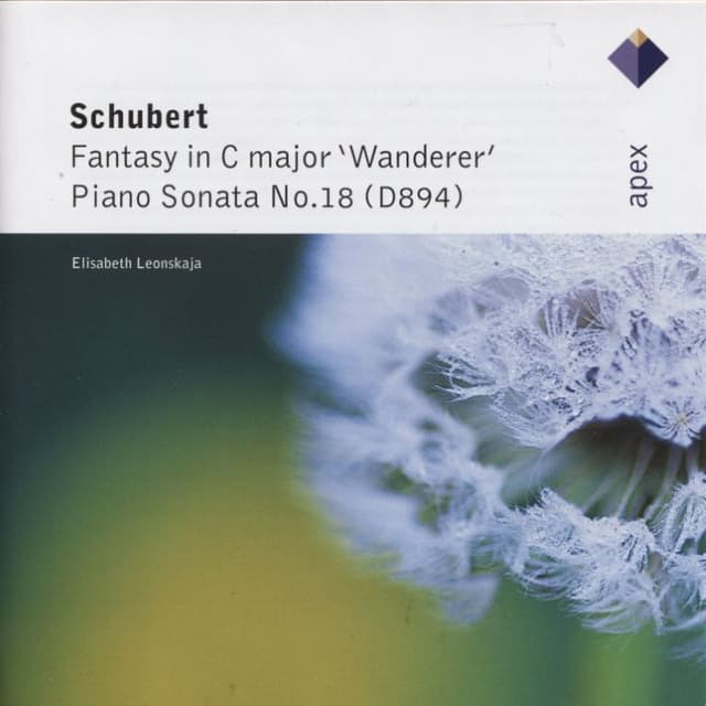 Fantasy in C major "Wanderer" / Piano Sonata no. 18 (D. 894) cover