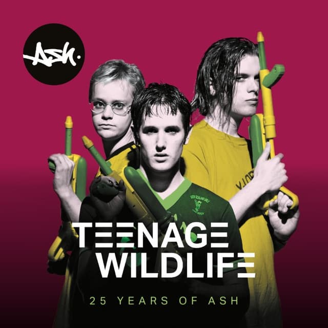 Teenage Wildlife: 25 Years of Ash cover