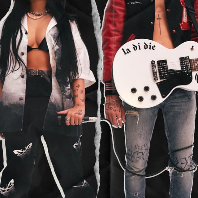 la di die cover