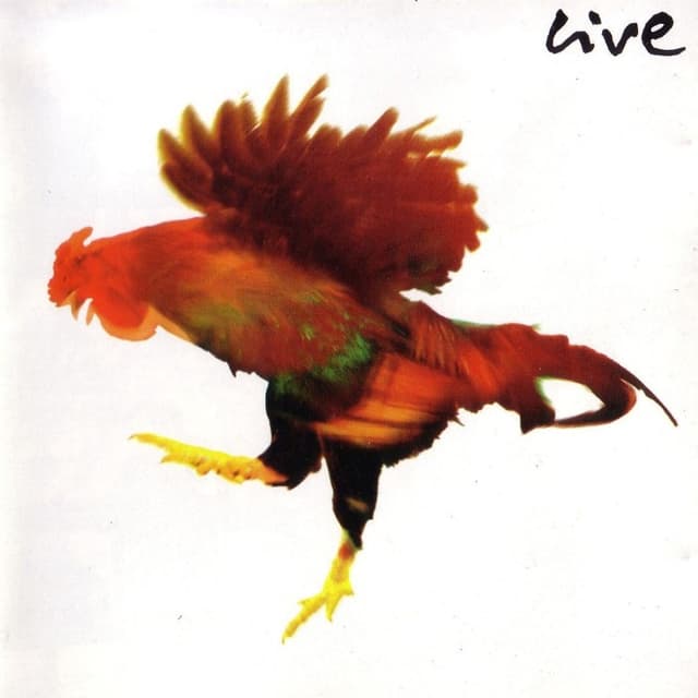 Live cover