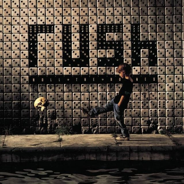 Roll the Bones album cover