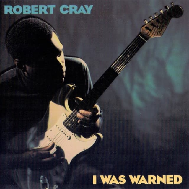 I Was Warned cover