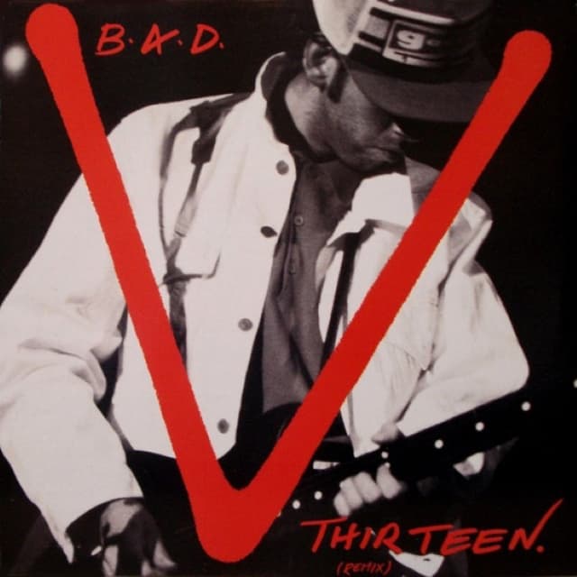 V. Thirteen cover