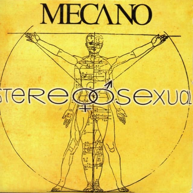 Stereosexual cover