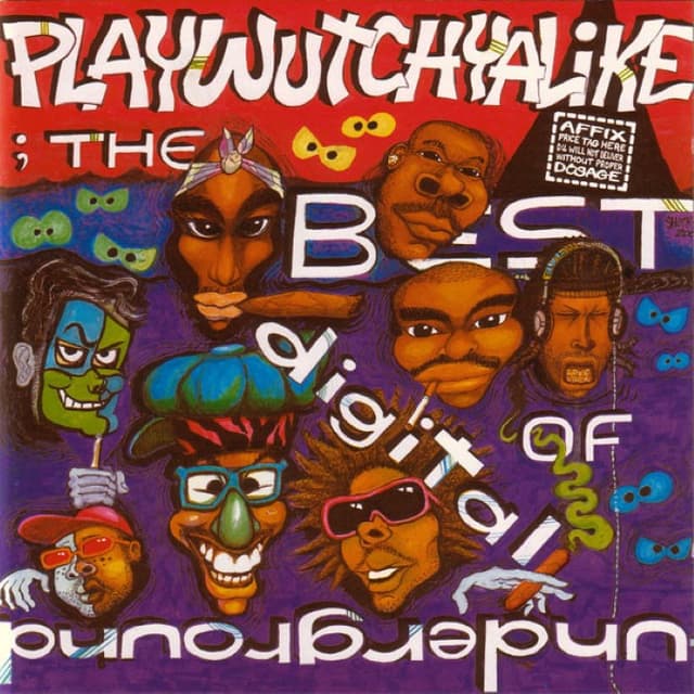 Playwutchyalike: The Best of Digital Underground cover