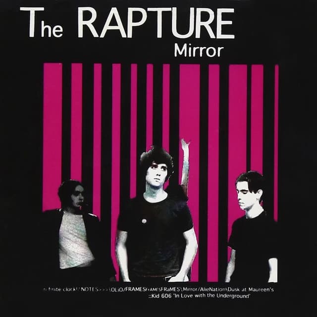 Mirror cover