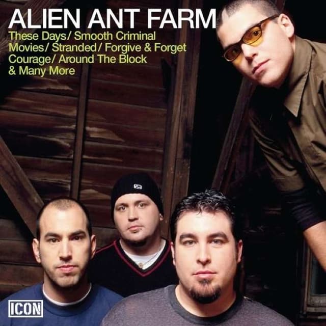 Icon cover