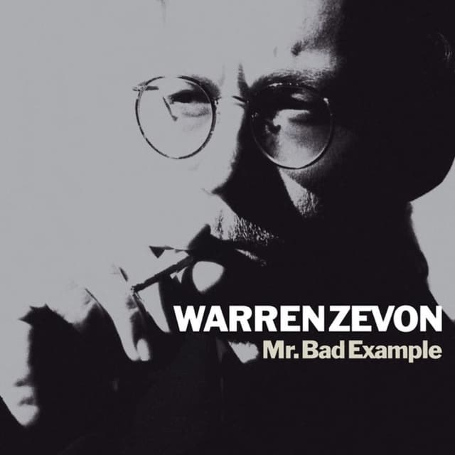 Mr. Bad Example cover