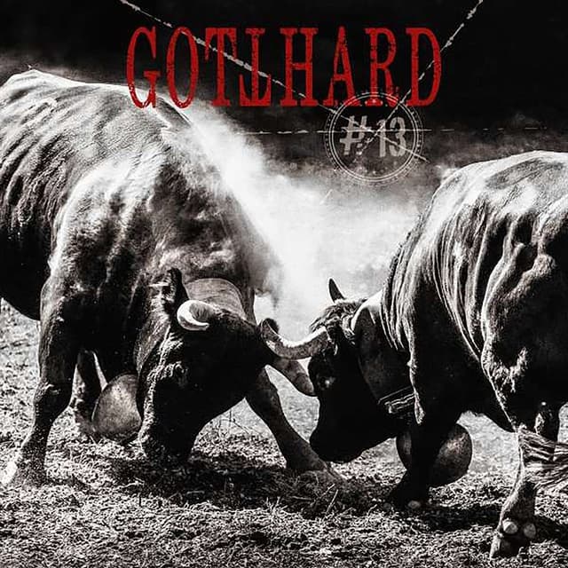 #13 cover