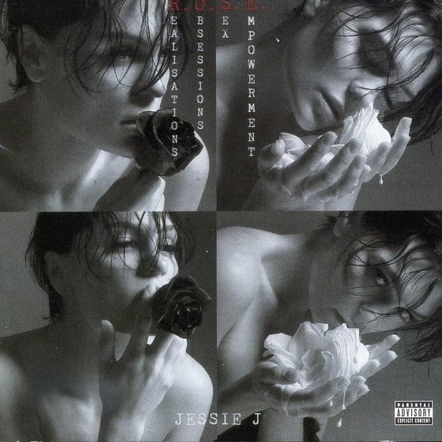 R.O.S.E. cover