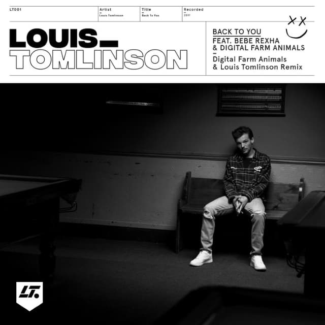 Back to You (Digital Farm Animals & Louis Tomlinson remix) cover