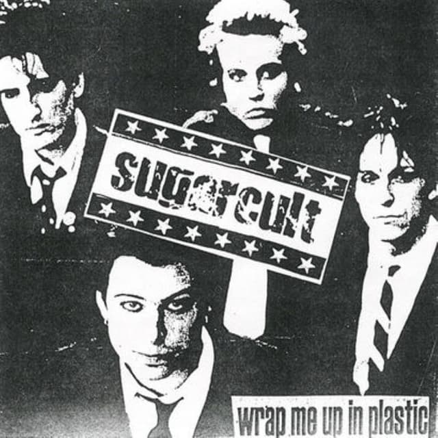 Wrap Me Up in Plastic cover