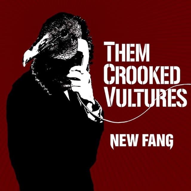 New Fang cover