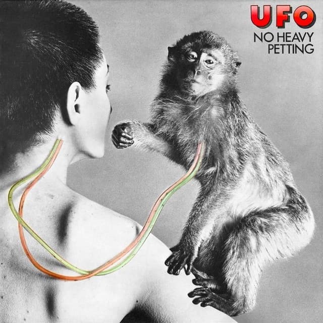 No Heavy Petting cover