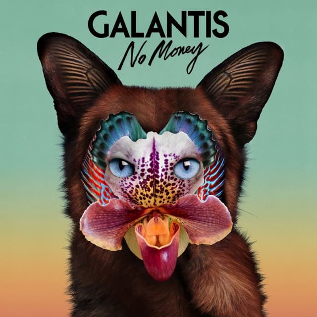 No Money cover