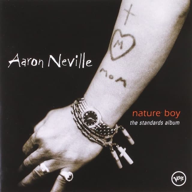 Nature Boy: The Standards Album cover