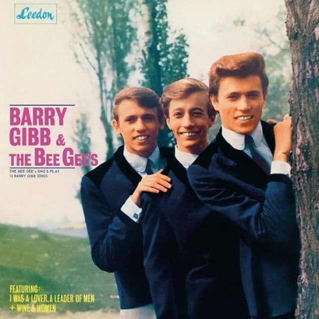 The Bee Gees Sing and Play 14 Barry Gibb Songs cover