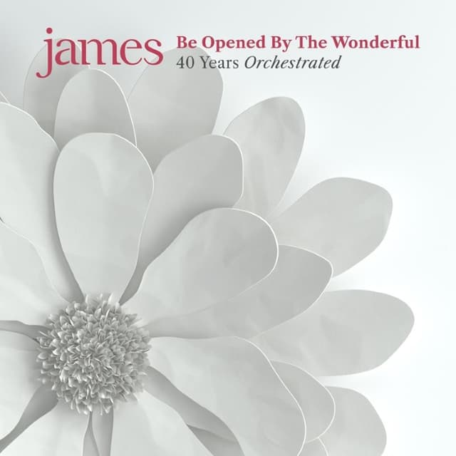 Be Opened by the Wonderful: 40 Years Orchestrated cover