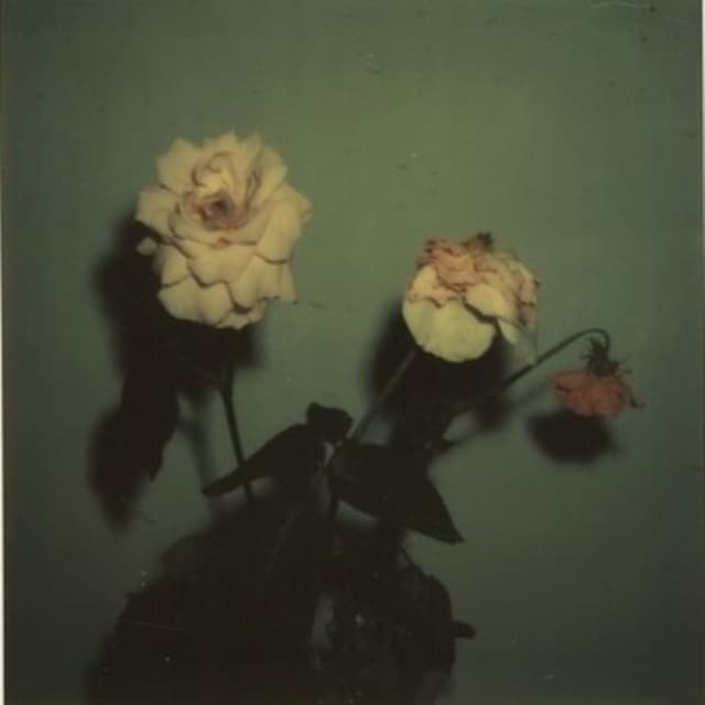 Give Me My Flowers While I Can Smell Them cover