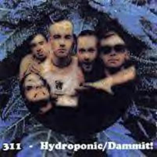 Hydroponic / Dammit! cover