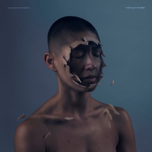Valley of Vision cover