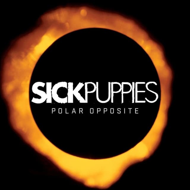 Polar Opposite cover