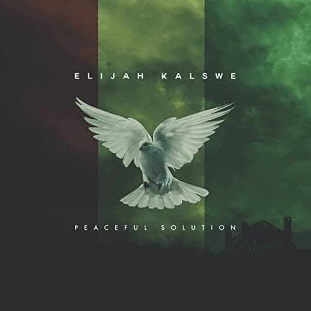 Peaceful Solution cover