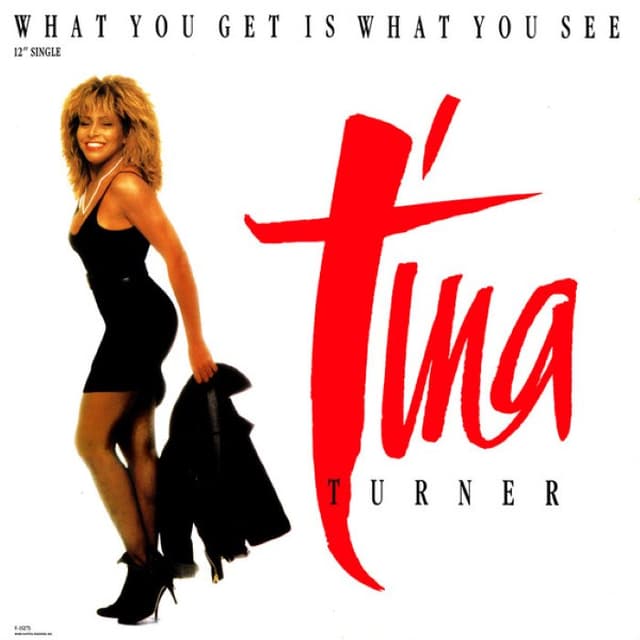 What You Get Is What You See cover