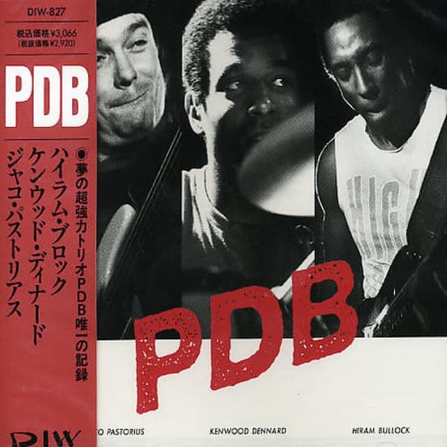 PDB cover