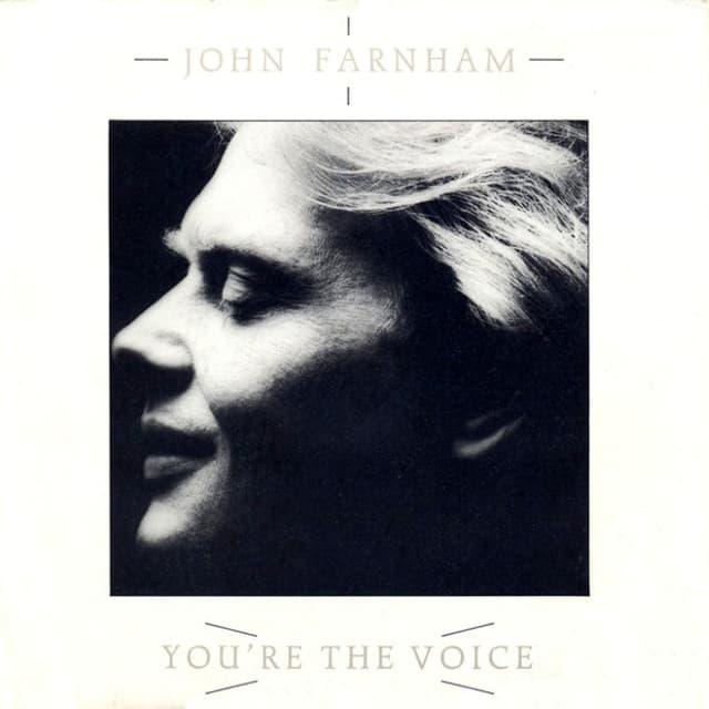 You're the Voice cover