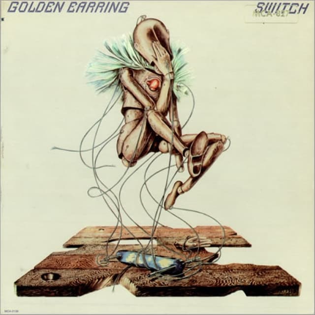Switch cover